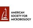 American Society For Microbiology